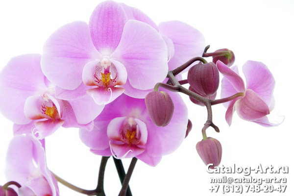 Натяжные потолки с фотопечатью - Розовые орхидеи 19